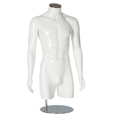 Male Torsos