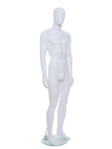Male Mannequin - R323