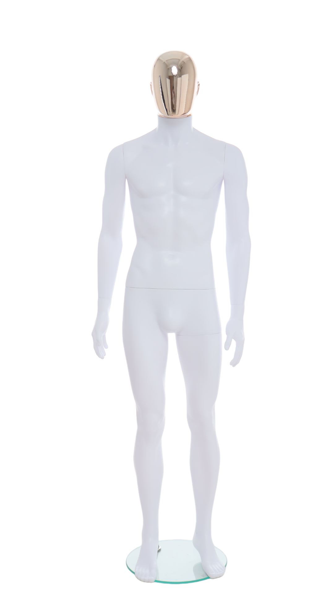 Male Mannequin - R357RG
